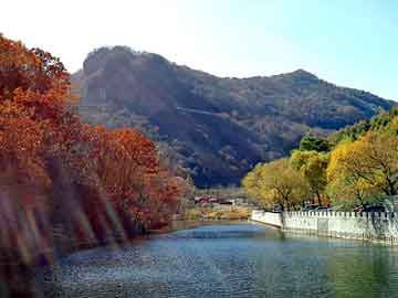 新澳天天开奖资料大全旅游团，反配为主